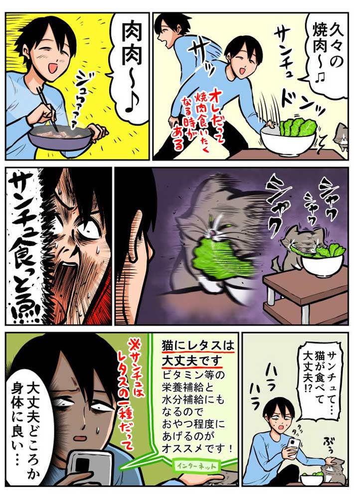 焼き肉のサンチュを夢中で食べる猫 もう一匹にもあげてみると? 「表情に爆笑」 https://t.co/VJZoqXuw7h @grapeejpより 
