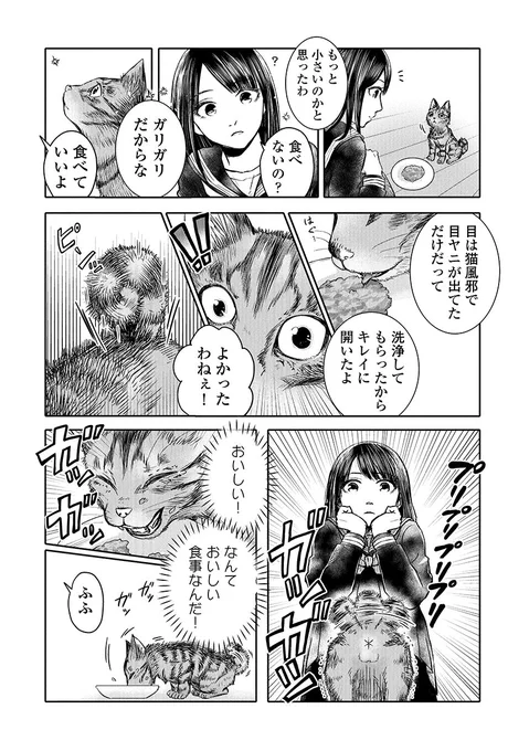【吾輩は猫であるが犬】(03/10) 