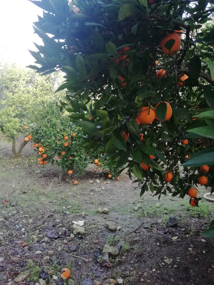 Günaydın ÇARŞAMBA hayırlı günler olsun 🏝️🌅💛💙🌾☕🇹🇷🇹🇷🇹🇷🇹🇷🇹🇷🇹🇷🇹🇷🇹🇷🇹🇷🇹🇷🇹🇷