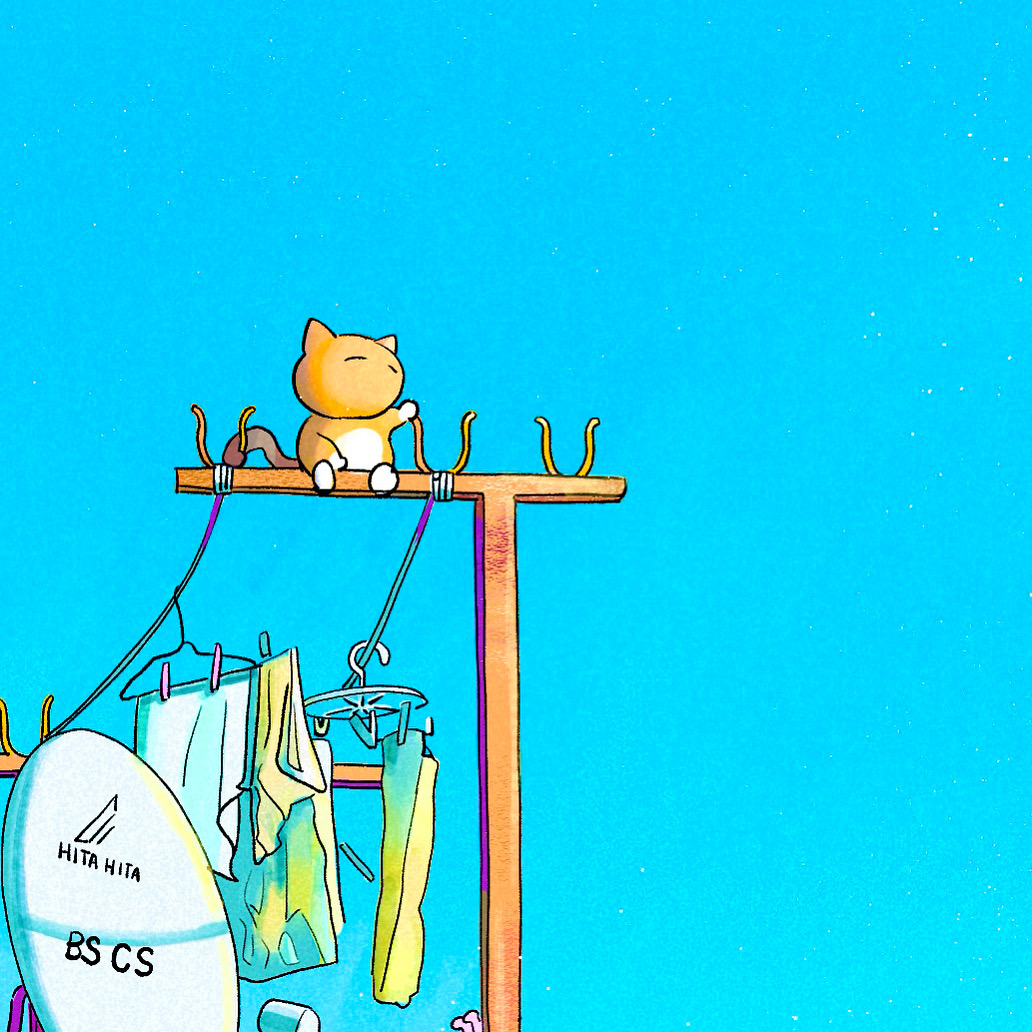 clothesline cat laundry no humans clothes hanger sky clothes  illustration images