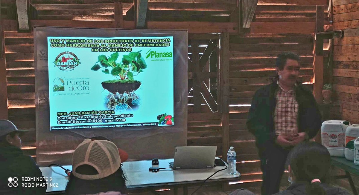 fitosanidad100's tweet image. Gracias a nuestros amigos de #PuertaDeOro y #Planasa México por fortalecer al cuerpo técnico en el #UsoyManejoDeLosInductoresdeResistencia en el #ManejoIntegradoDeEnfermedadesenProducciónDePlántulasDeBerries.#DoloresHidalgo,Gto. Febrero 2023. JDG.