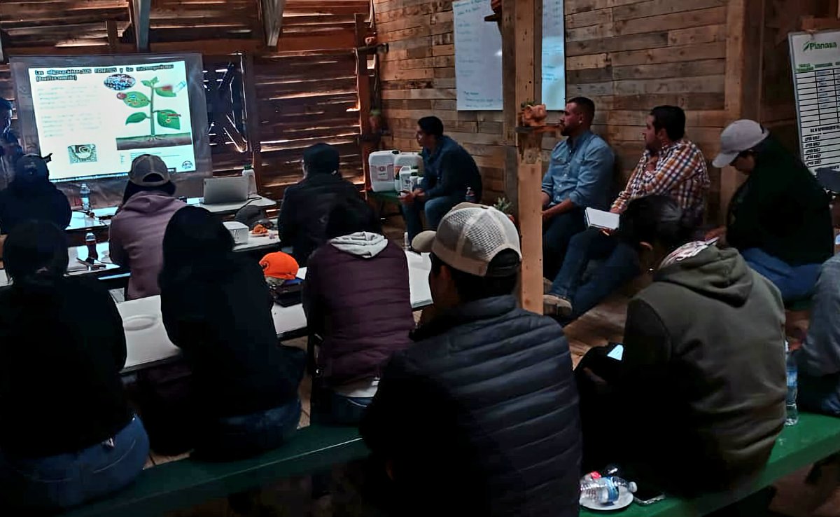 fitosanidad100's tweet image. Gracias a nuestros amigos de #PuertaDeOro y #Planasa México por fortalecer al cuerpo técnico en el #UsoyManejoDeLosInductoresdeResistencia en el #ManejoIntegradoDeEnfermedadesenProducciónDePlántulasDeBerries.#DoloresHidalgo,Gto. Febrero 2023. JDG.