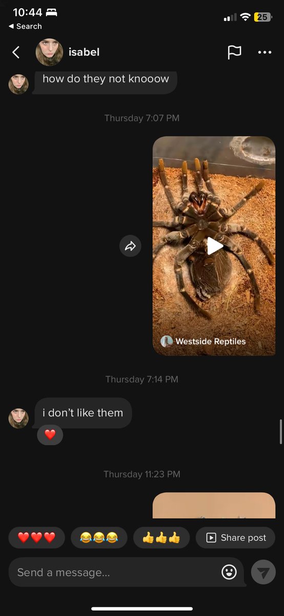 was so excited to share the cool spider video I saw with my besties 💔