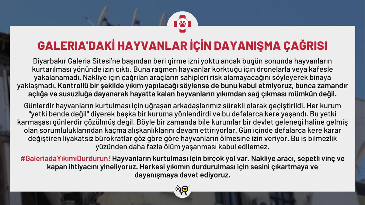 hakim_komite's tweet photo. Sepetli vinç ihtiyacı acil olarak devam ediyor #galeriakurtarılmayıbekliyor https://t.co/ybLkcL8jfa