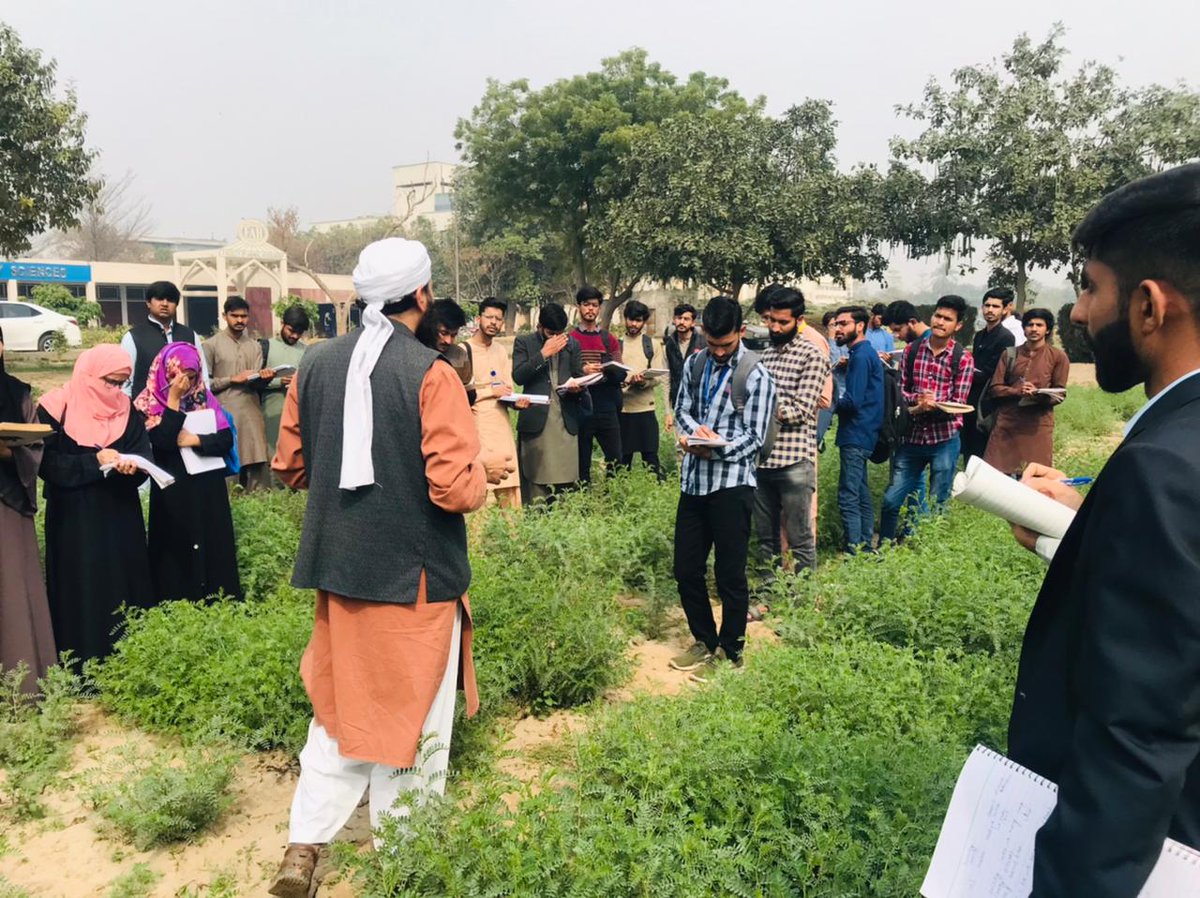 Chickpea_Lab's tweet photo. Last couple of days were incredible for my students and me! 
I took my Plant breeding and Genetics class to the Desi chickpea field where we observed the various differences in qualitative and quantitative traits among diverse chickpea genotypes at the flowering stage.
#Chickpea https://t.co/u1P6YHF9Uf