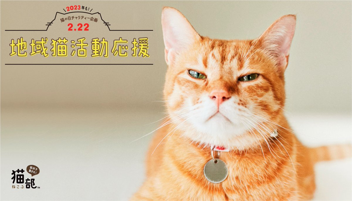 猫の日は猫に恩返し!

22組の猫好き作家さんが大集合!かわいいTシャツのお買い物で、今年も楽しく猫助けに参加できます。1枚につき500円が基金として運用されます。

あなたはどの猫ちゃんと応援する?
猫愛があふれるスペシャルサイトでチェックしてにゃ🐈‍⬛⇒https://t.co/gGsaQ9mEzu
#猫の日 