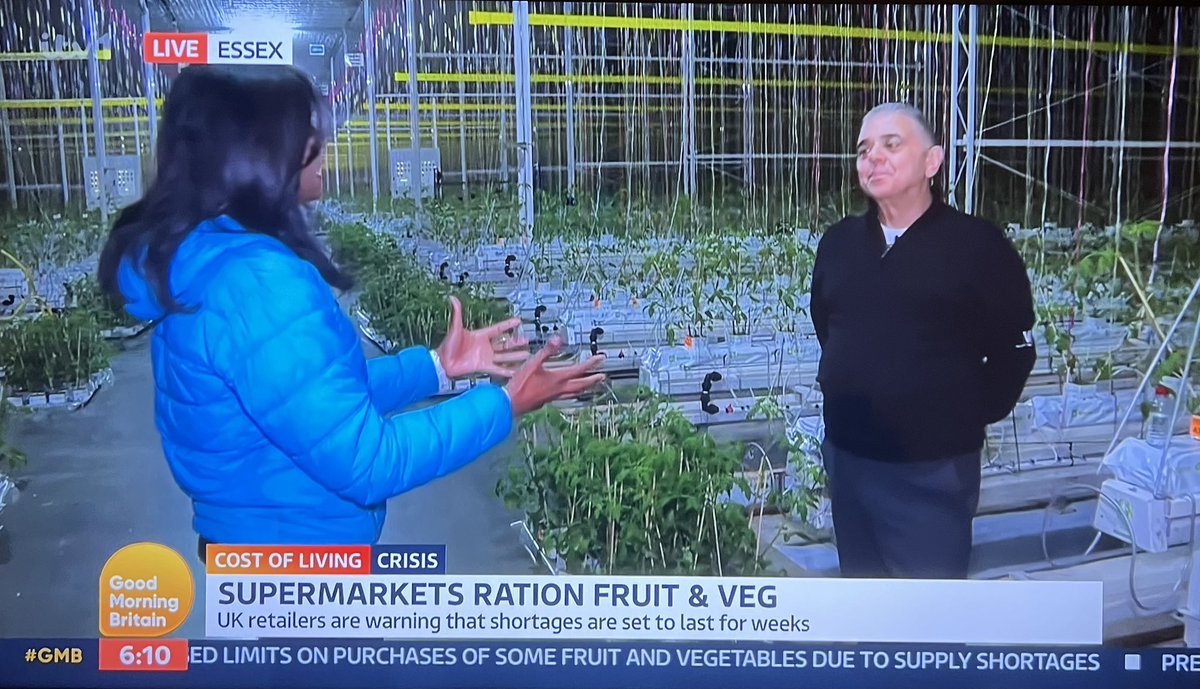 Watch: Lea Valley Grower Jimmy Russo on <a href="/GMB/">Good Morning Britain</a> this morning #NFU23 #Backbritishfarming #Emptyshelves <a href="/ValleyGrownNurs/">ValleyGrownNurseries</a> <a href="/ValleyGrownSala/">Valley Grown Salads</a>