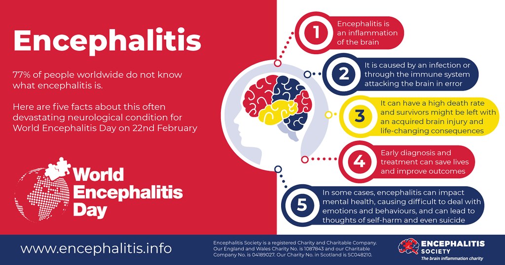 🚨 Today is #WorldEncephalitisDay 🚨 Here @humantechnopole, @nicolapalaz and @StefiGiu9 lead the fight against viral and autoimmune encephalitis by using human pluripotent stem cell models to better understand the underlying disease mechanisms. #Red4WED #encephalitis