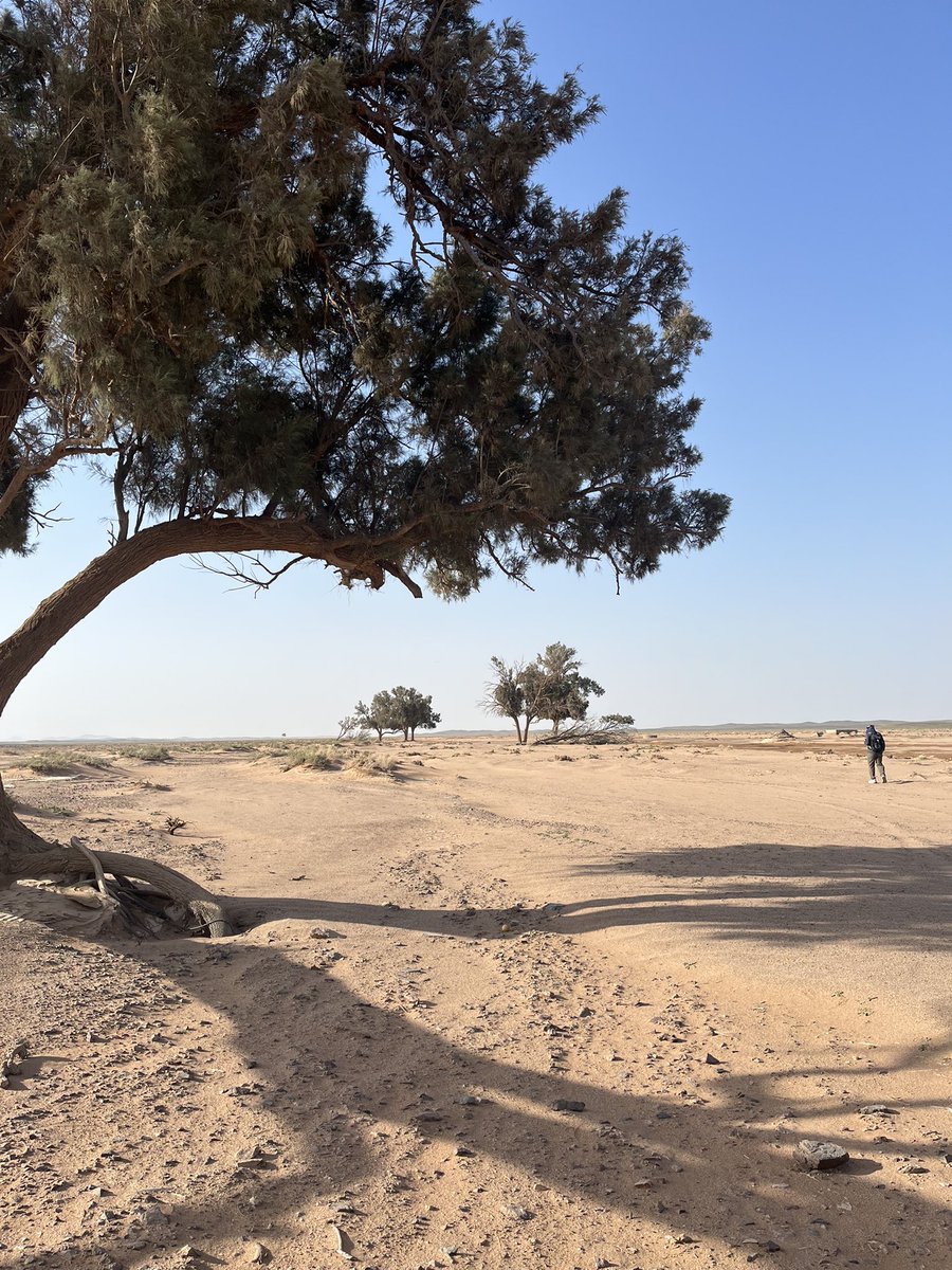 هادي الضويعن 🇸🇦 tweet media