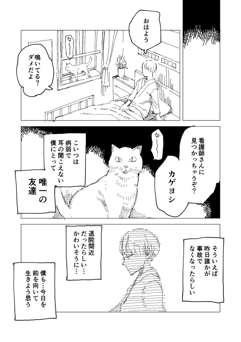 猫の日らしい 