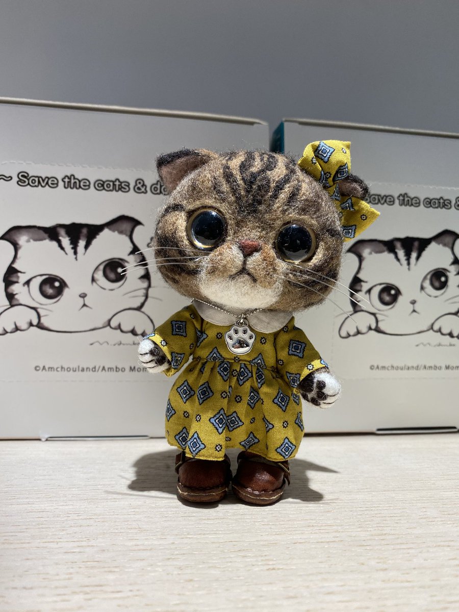 Amchouland tweet media