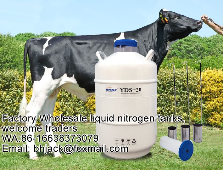 baihuitank's tweet image. Henan Baihui is a specialized cryogenic equipment company specializing inproduction and sales of liquid nitrogen biological containers, self-charging liquid nitrogen tanks#cryogenic #scientist #laboratory #lifescience #biology 
#liquidnitrogentanksale