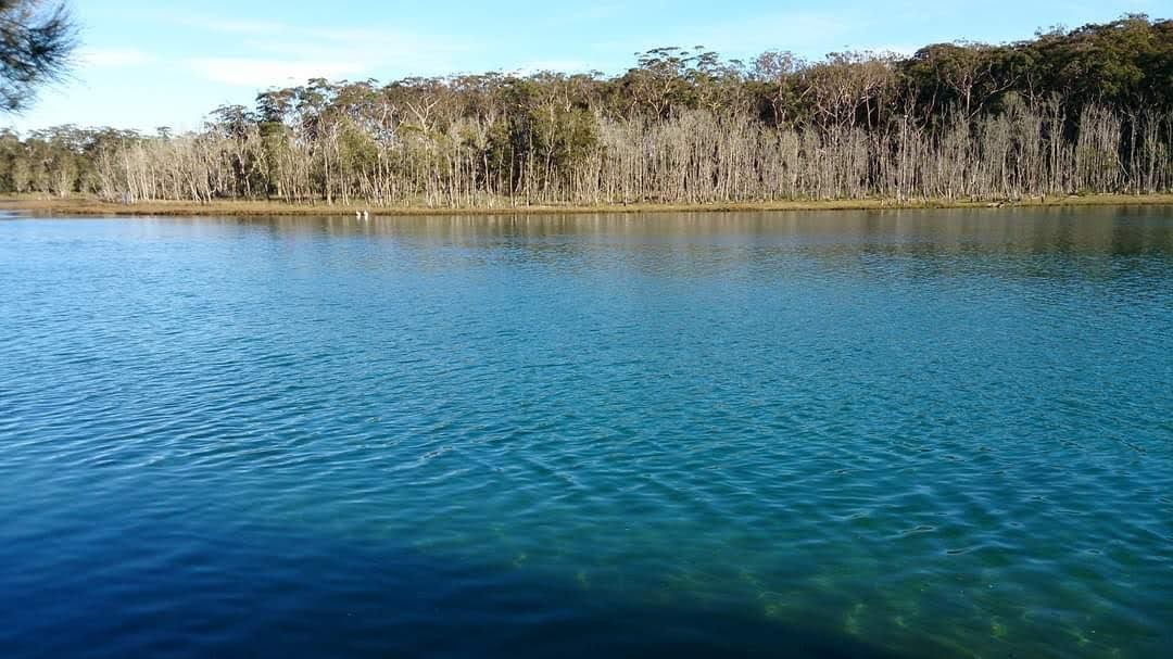 TheFODGroup's tweet photo. Durras Lake, one of the most pristine coastal lakes here in NSW. One of the few coastal lakes with intact ecosystems between Ulladulla and Nadgee National Park on the Victoria border. https://t.co/nq9ELAR4xI