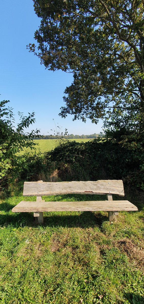 fermar1's tweet image. Arboretum en Holland...... #freetogrow