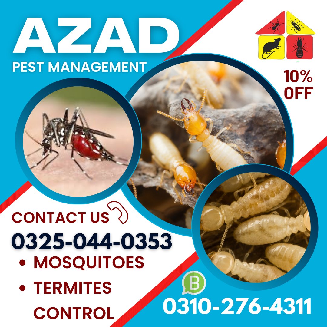 Termite control and mosquito control services are essential for keeping homes and businesses free from pests.
Azad Pest Management keeps people safe and properties Pest-free.
Contact us in Sahiwal, Okara, and Pakpattan.
# 03250440353 # 03102764311

#termite #mosquito #pestcontrol