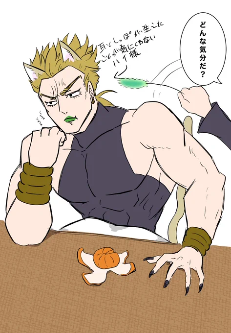 猫の日ですね 