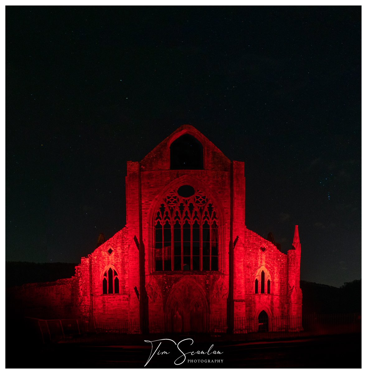 Tim Scanlan tweet media