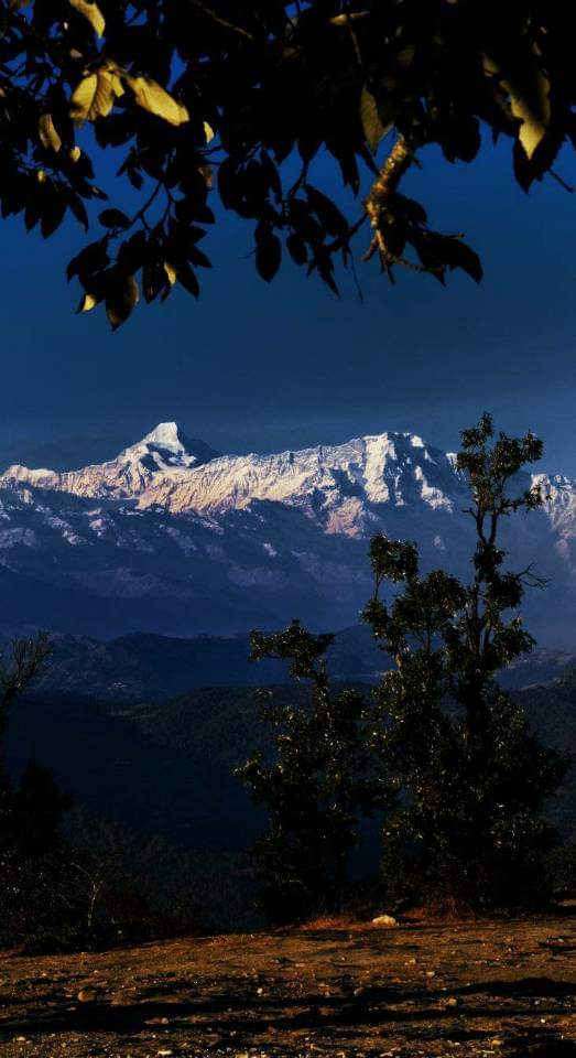 high and handsome..

Nanda Kot, Lapsa Dhura, and Dangthal..

from Chaukori, #Uttarakhand .