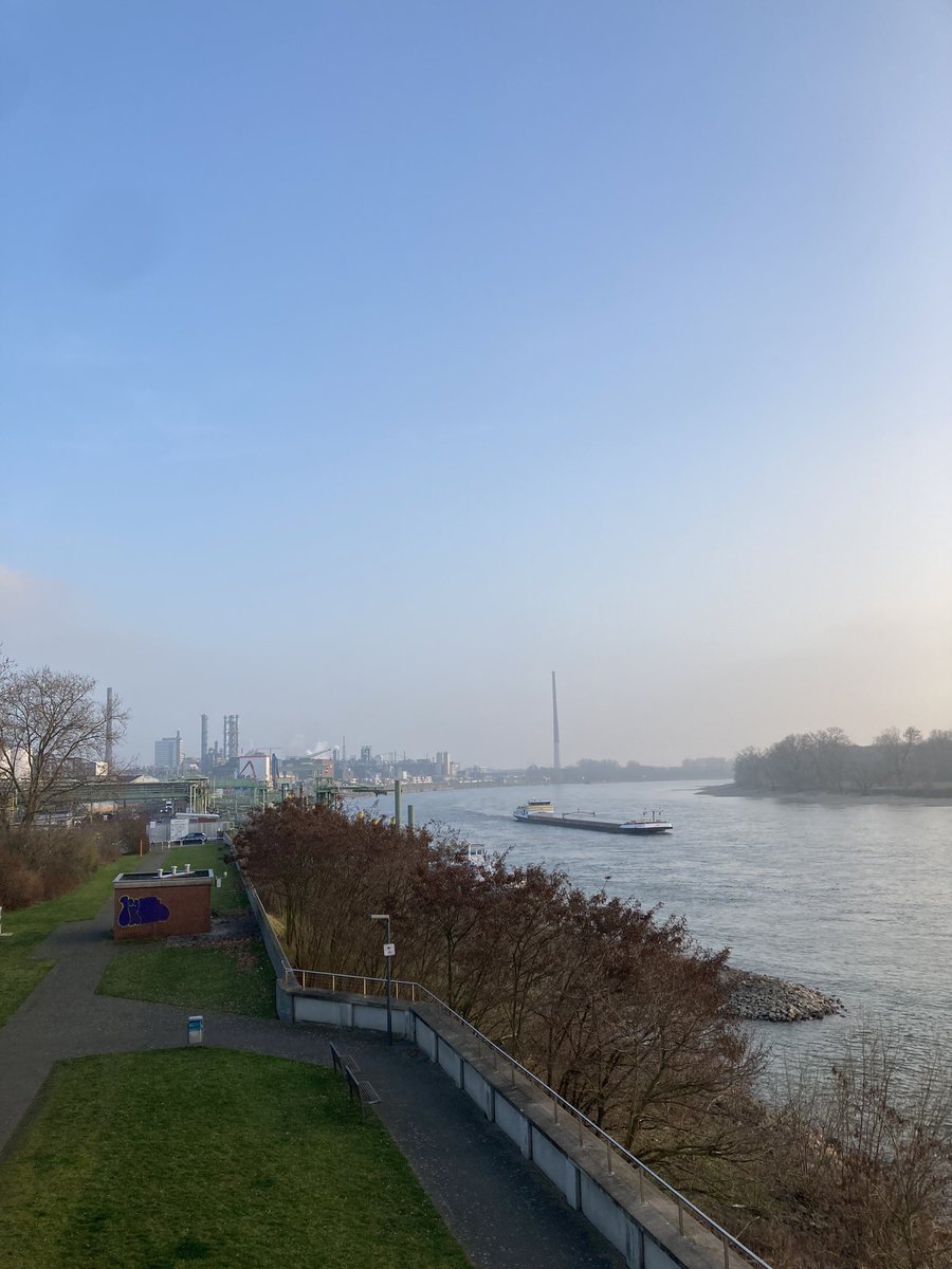 Heiko Schomberg tweet media