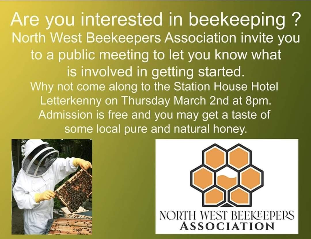 Donegal Online (@donegal_online) on Twitter photo 