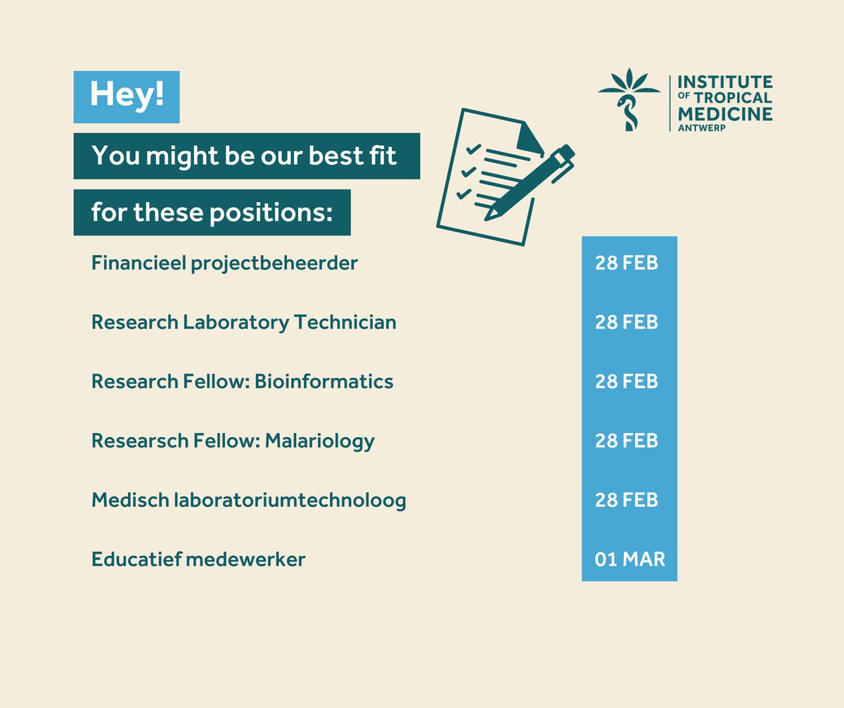 ITMantwerp's tweet photo. Looking for a new career opportunity or did you just graduate and are you ready for your first work experience in an international environment?
Make sure to check out our vacancies. 
👉 https://t.co/nQKZSnonjh
#vacancy #opportunity https://t.co/ifdMAu0ldg