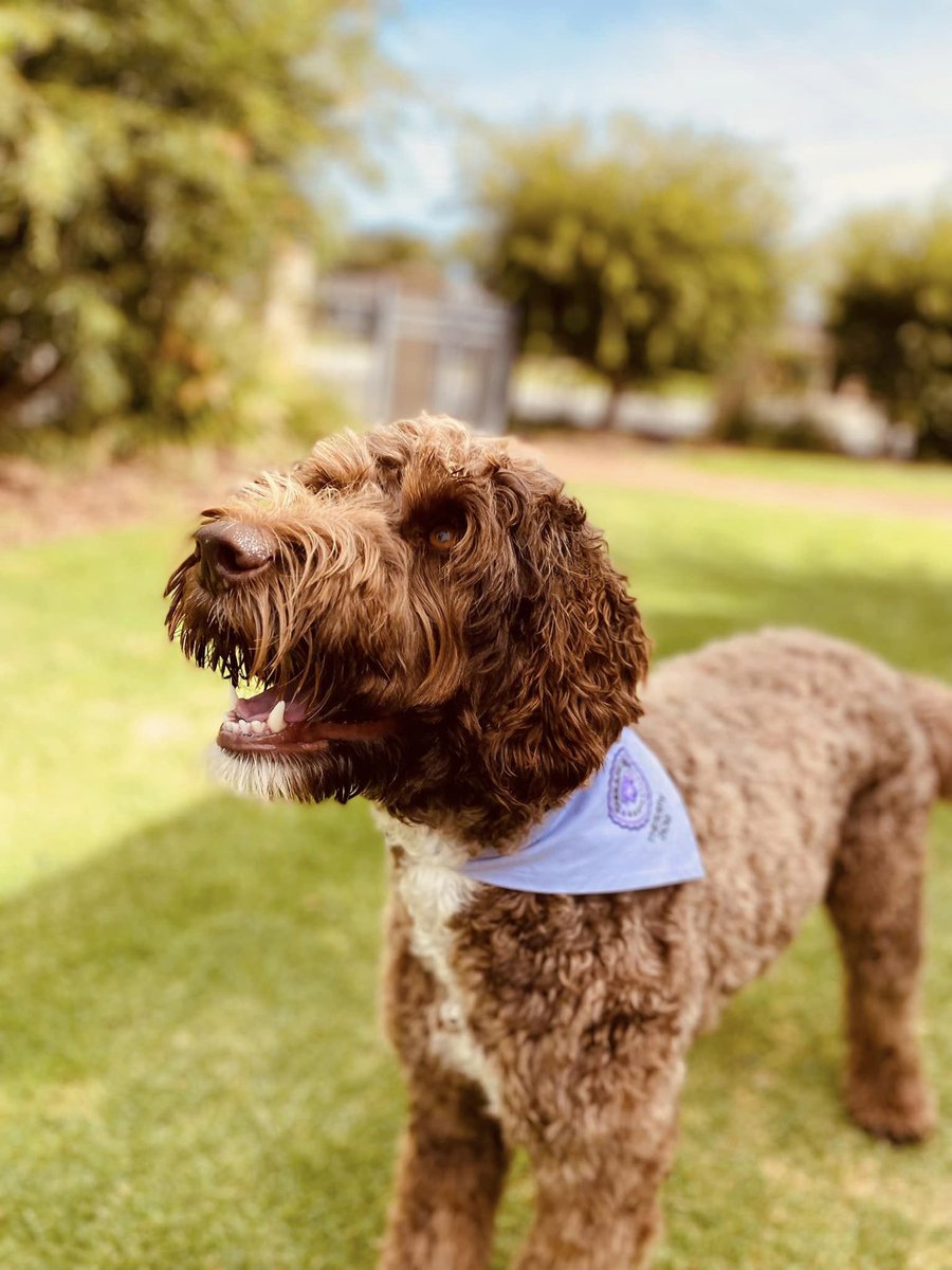 Relationships Australia WA tweet media