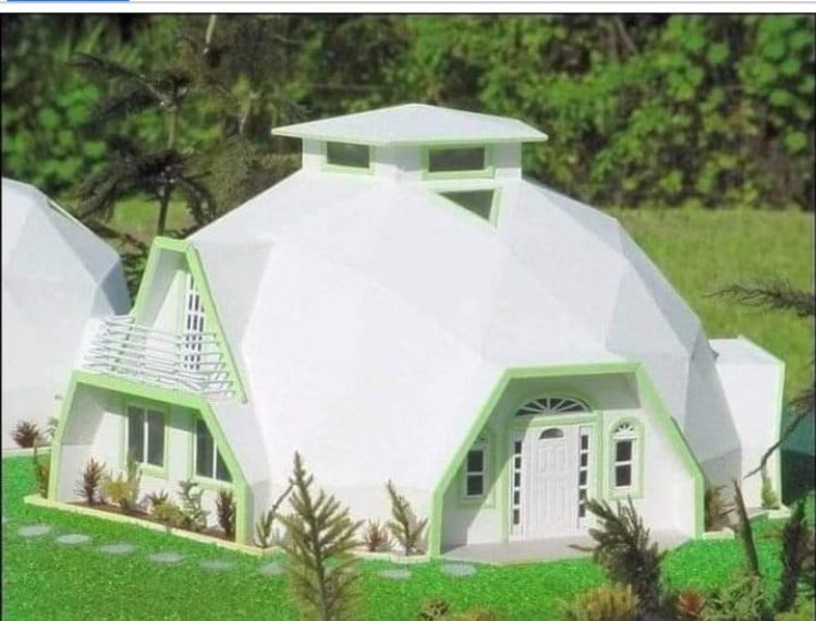 Japonya'da bulunan bu evler köpükten yapılıyor. Yapımı 2-3 saatte tamamlanıyor ve 300 yıl ömrü var. Evin maliyeti ise sadece 2000 dolar.
Kısa sürede yapılması ve depreme dayanıklı olması nedeniyle gelecekte bu tip evlerin artacağı tahmin ediliyor.