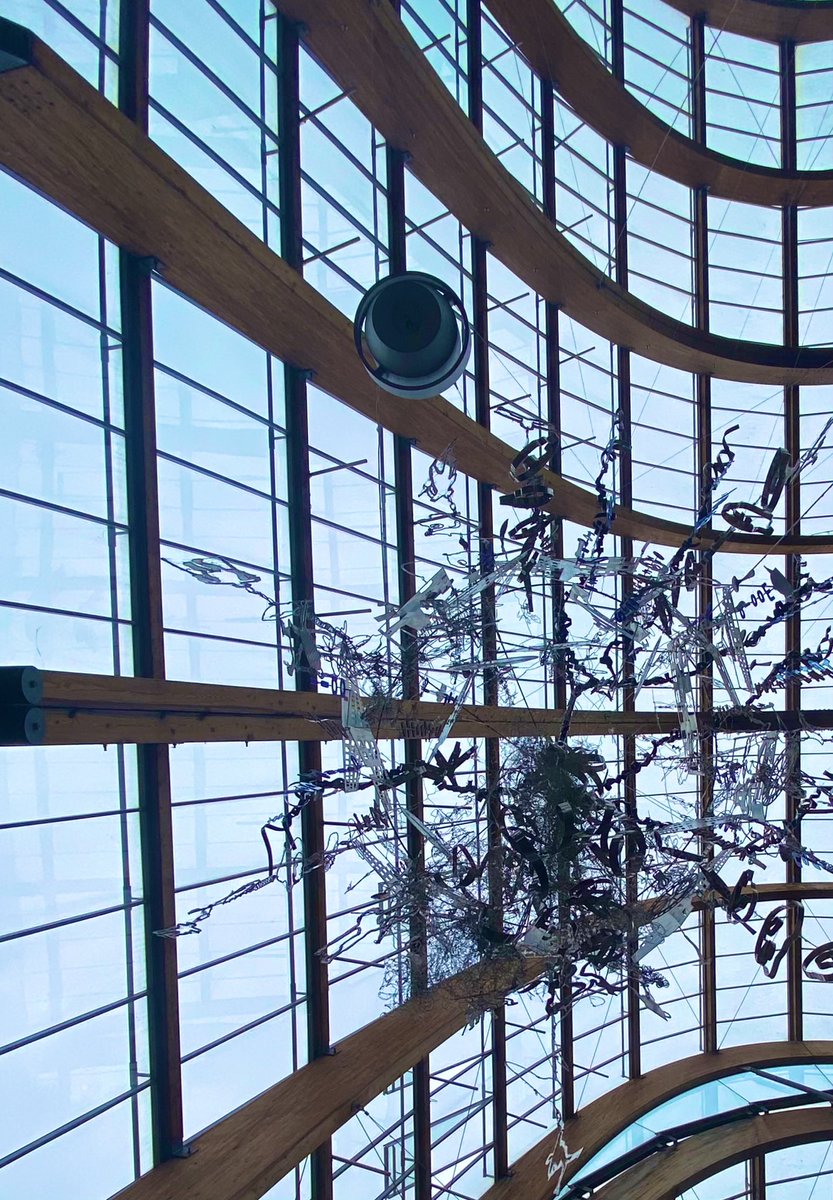1000Rach's tweet photo. 100s of windows and 1 AR cat 🐈 #WednesdayWindows #WindowsOnWednesday #Wednesday #Cat #AR #AugmentedReality #LookUpSheff #LookUpSheffield
https://t.co/Ksyz8NWdYw https://t.co/HiDx1C8I6N