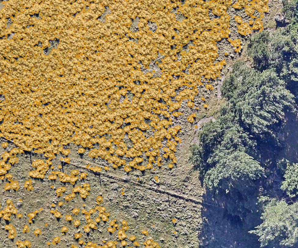 Lynker Analytics tweet media