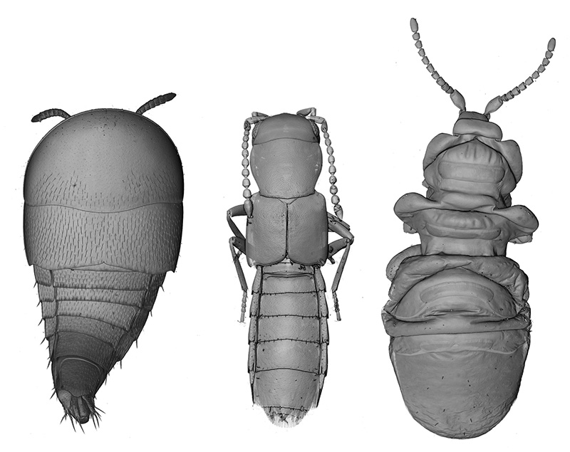 Aleš Buček tweet media