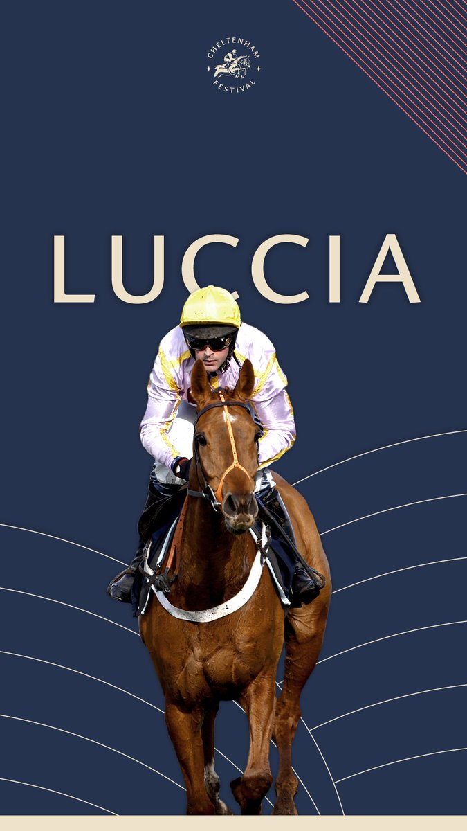 CheltenhamRacecourse tweet media