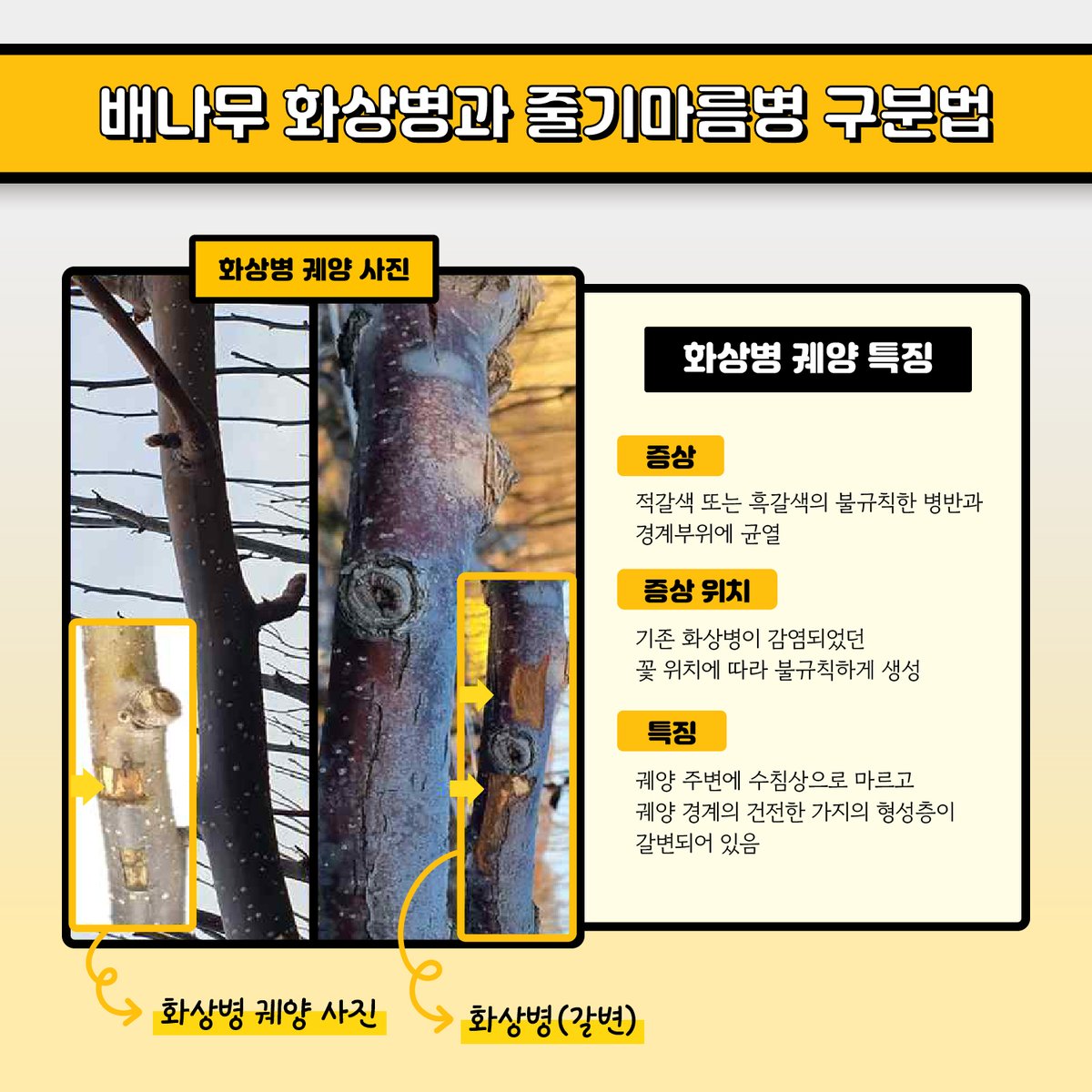 농촌진흥청 tweet media