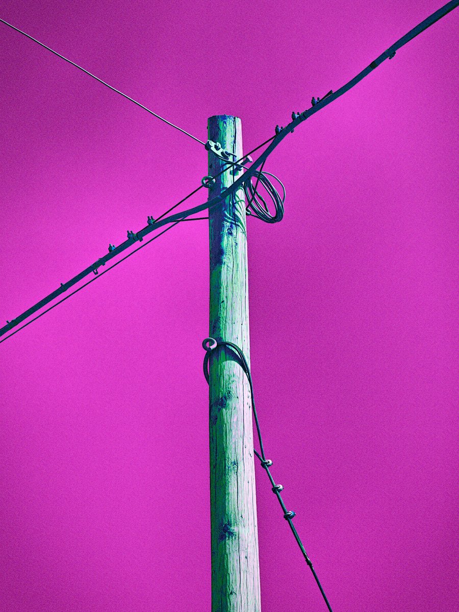 calice gallery tweet media