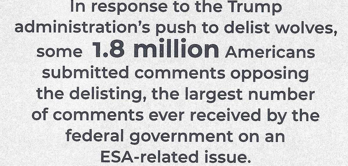 ecowatchdogg's tweet image. Wake Up to the war on wildlife #relistwolvesnow