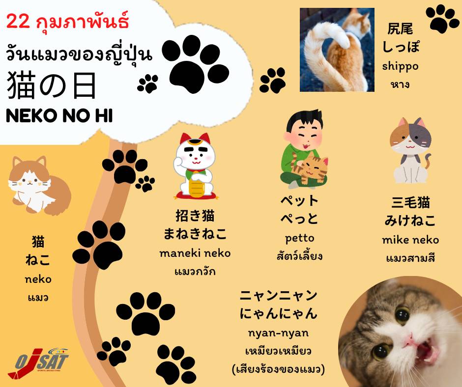 ojsatschool's tweet photo. Nyan Nyan วันนี้เป็นวันแมวแห่งชาติของญี่ปุ่นล่ะครับ
เอ๊ะ!!! เพื่อนๆอาจจะสงสัยกันใช่ไหมล่ะ ว่าวันแบบนี้ก็มีด้วยหรอ
OJ ก็จะมาแนะนำคำศัพท์และก็ที่มาของวันแมวนะครับ 🐱
#OJSAT #ภาษาญี่ปุ่น #เรียนภาษาญี่ปุ่น #โรงเรียนสอนภาษาญี่ปุ่น https://t.co/ymD3WDKvMB