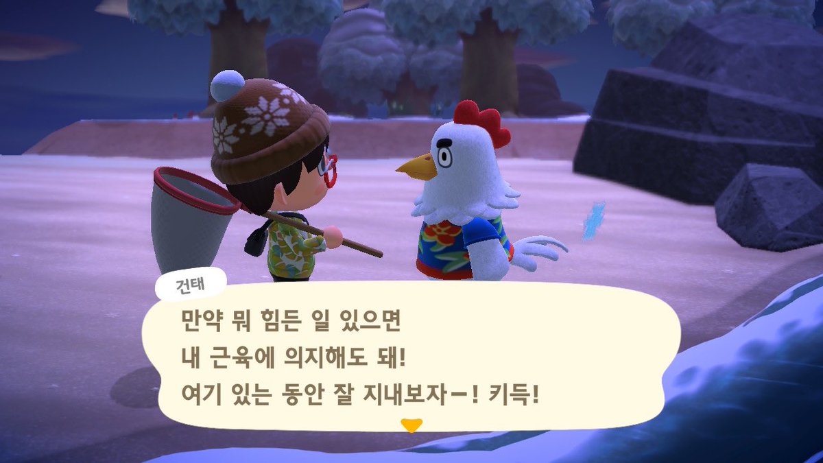 GuXLei's tweet photo. 마일섬에 얘왓는데 데려올지 고민이다 바부같아서 맘에들어.. 이미 닭친구가 한마리 있는데 https://t.co/bvLDnCATX0
