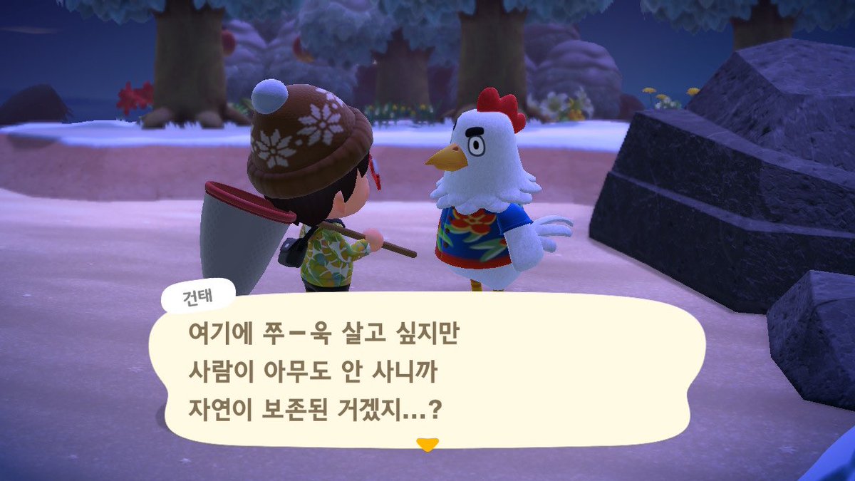 GuXLei's tweet photo. 마일섬에 얘왓는데 데려올지 고민이다 바부같아서 맘에들어.. 이미 닭친구가 한마리 있는데 https://t.co/bvLDnCATX0