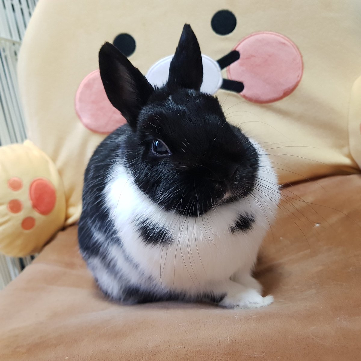 동글동글🐰☁️💕