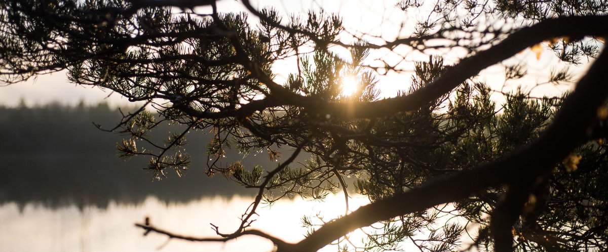 ImpInvS's tweet image. Gårdskapital och Ridge Capital  - två fonder i vårt nätverk som nu öppnar upp för fler investerare   mailchi.mp/2f4a244c1c56/h…. #ESGinvesteringar #hållbarainvesteringar #företagsobligationer #highyieldbonds