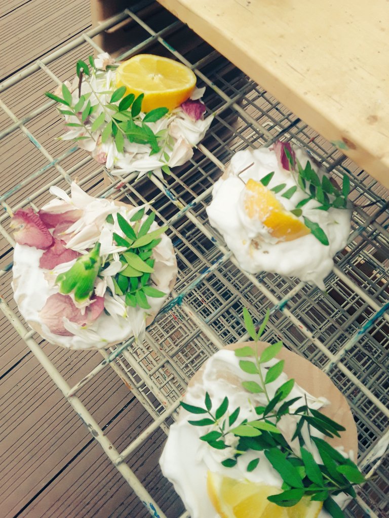 Ashbridge Nursery at Maxy Farm tweet media