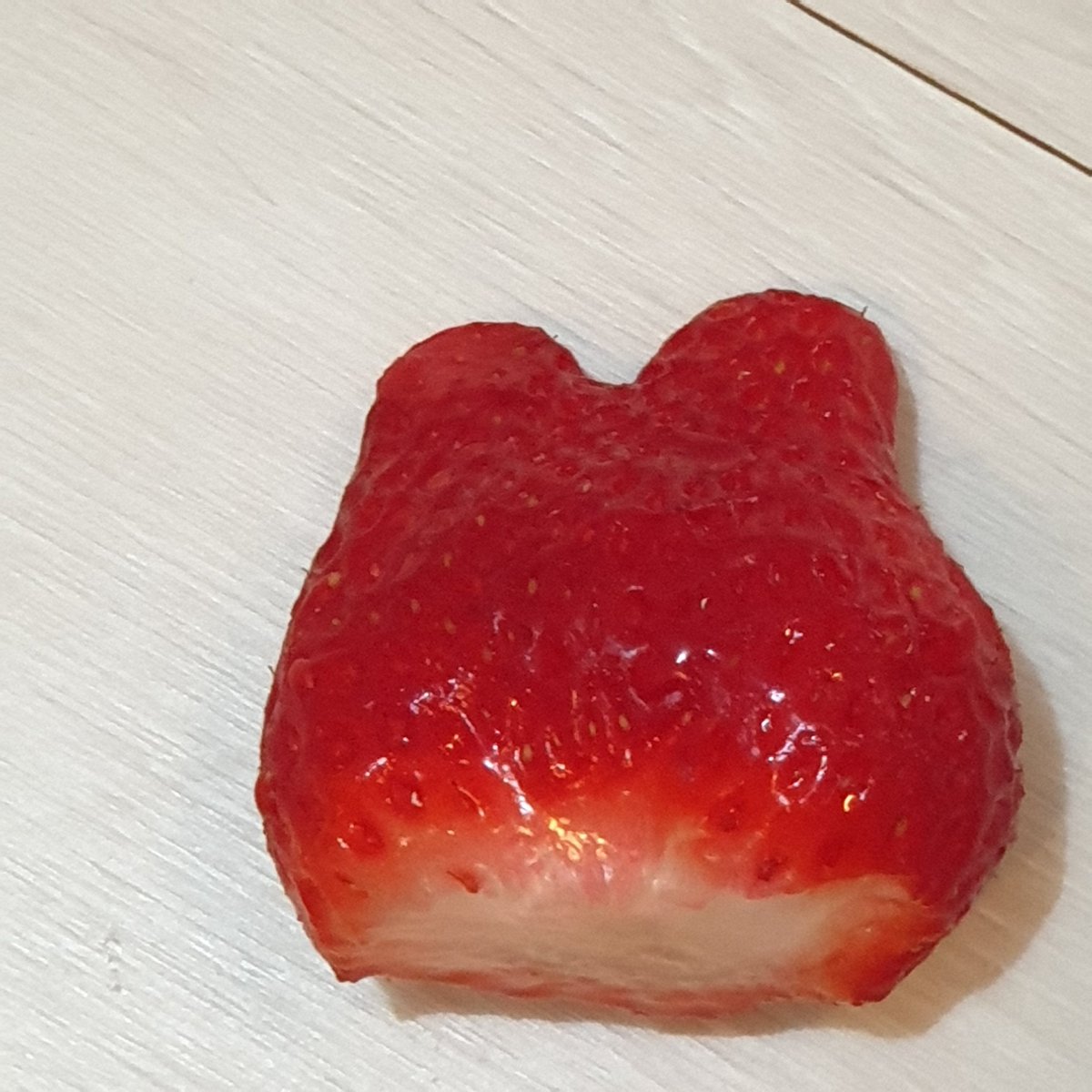 축하합니다 당신은 딸기토끼를 보았습니다! 🔥7초안에 #rt 🔥를 하면 좋은일이 생길겁니다🍀🍀