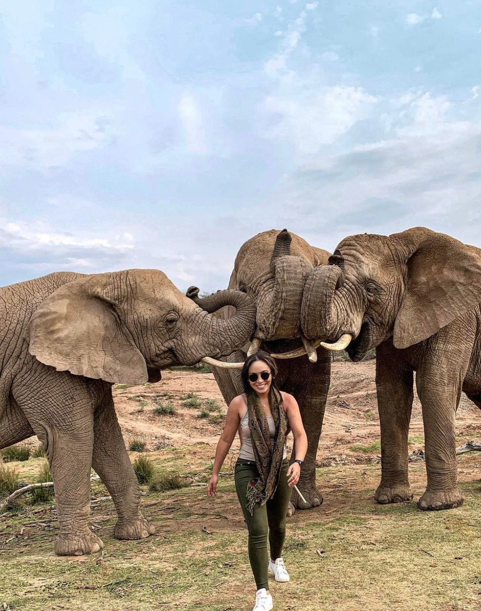 hotspots2c's tweet image. ❤️ MEMORIES 🐘🦁 Africa will surely leave an impression... 
-&quot;May I be strong and courageous like them!&quot; | 📸 @maduadv
-&quot;Since I‘ve watched the Lion King as a little child I always dreamed about travelling to Africa someday... -  | 📸 @laauramonique
-
Come SAFARI with us.