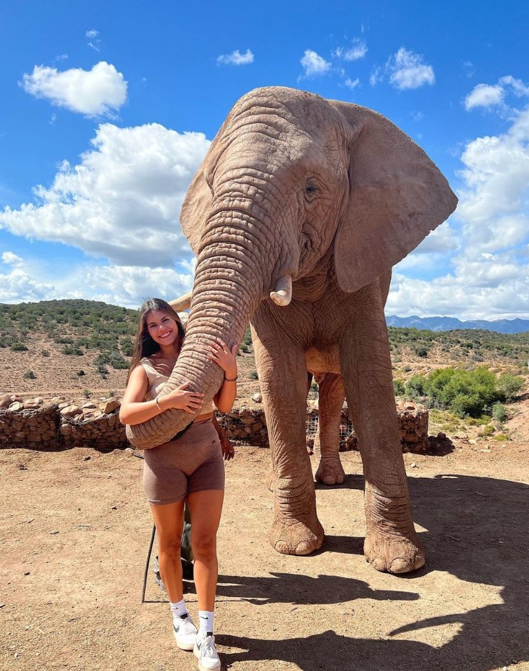 hotspots2c's tweet image. ❤️ MEMORIES 🐘🦁 Africa will surely leave an impression... 
-&quot;May I be strong and courageous like them!&quot; | 📸 @maduadv
-&quot;Since I‘ve watched the Lion King as a little child I always dreamed about travelling to Africa someday... -  | 📸 @laauramonique
-
Come SAFARI with us.