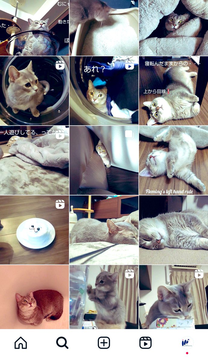 misaoladies's tweet photo. 本日は「#猫の日」「#にゃんにゃんにゃんの日」🐈

当院の操良院長も猫ちゃん好きで、インスタには愛猫のスピカちゃんの可愛い写真や動画がたくさん載っています↓😻

https://t.co/xVFFFd0dK9

#猫 #猫好きさんと繋がりたい #医師 #ドクター #愛猫 #可愛い #産婦人科 #病院 #岐阜 #岐阜県 #岐阜市 https://t.co/YC9d39Lpl5
