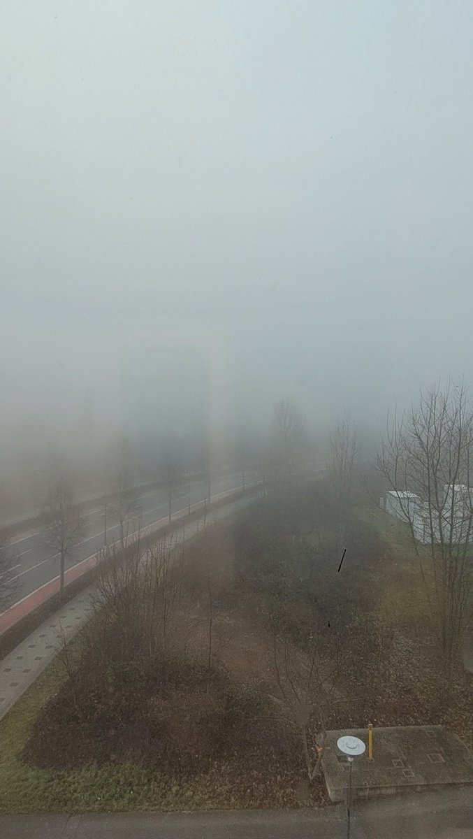 Foggy #Frankfurt am Main 😶‍🌫️