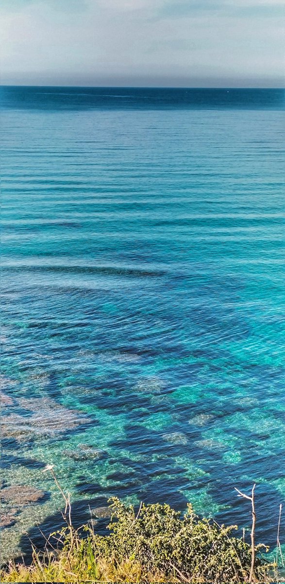 Giusepp17710443's tweet photo. La trasparenza del mare di Magomadas.. Buongiorno mondo 👋☕📷😀
#Sardegna
#magomadas https://t.co/xlEMCVkpb3
