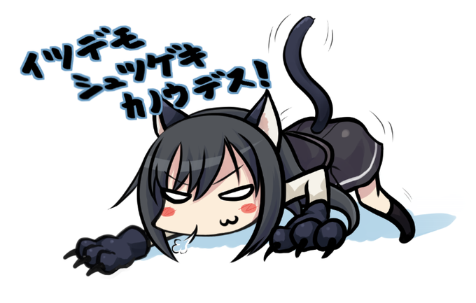 んにゃあ!
 #猫の日 