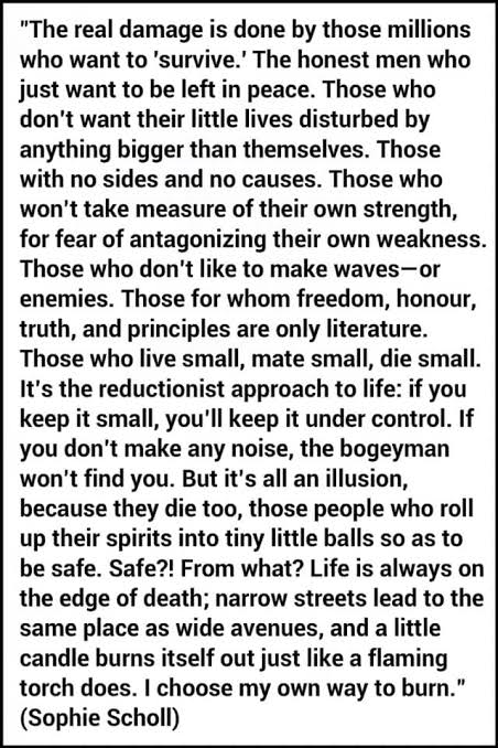 Sophie Scholl : “The real damage is done by those millions who want to 'survive.' The honest men who just want to be left in peace. ...”