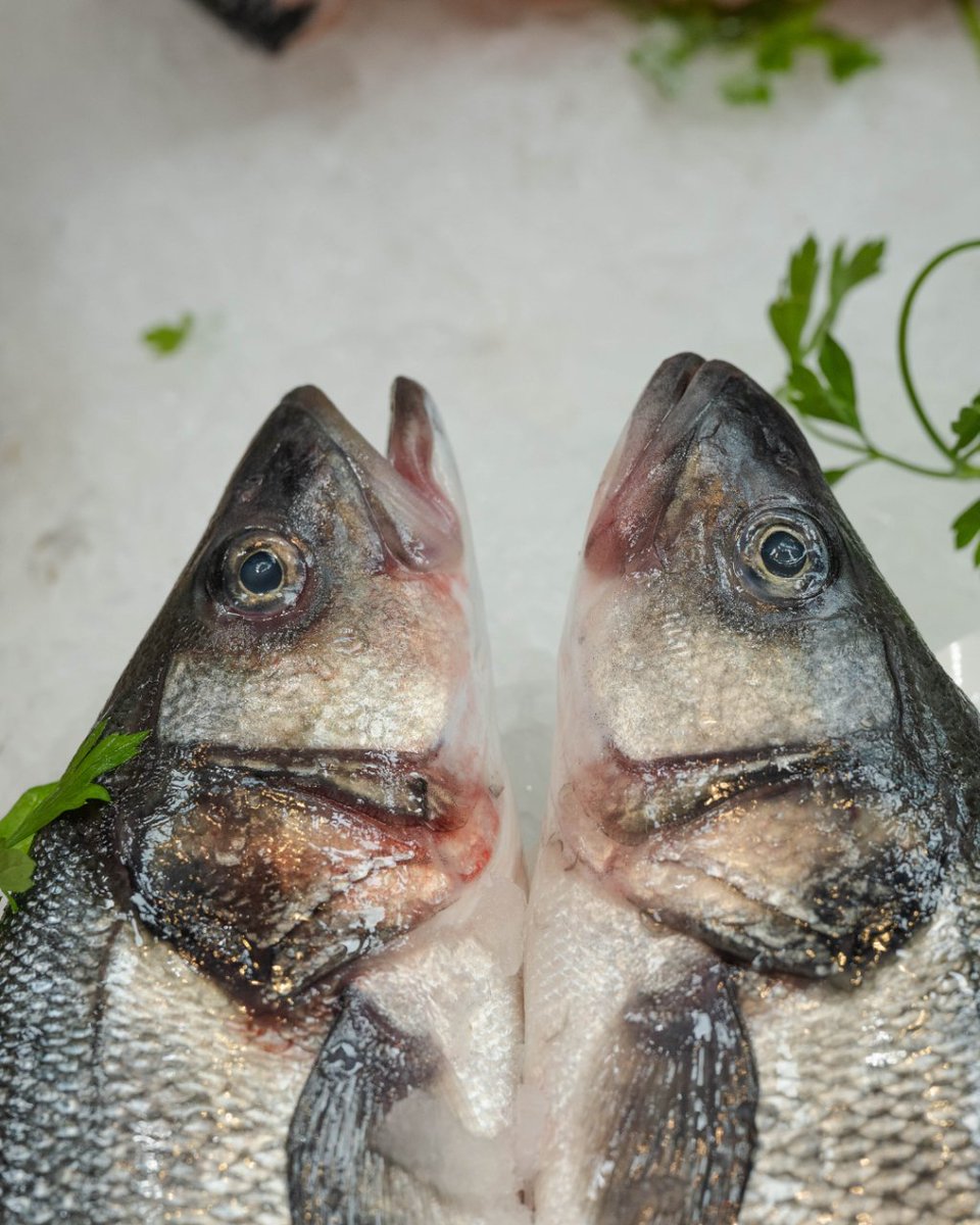 MercatOlivar's tweet image. Siempre frescos, preparados para tus mejores platos.

#MercatOlivar #PescadoFresco #PeixFresc #PescadoDelDia