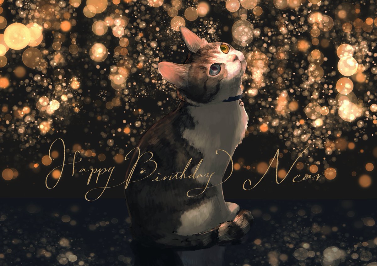 animal focus no humans looking up cat bokeh merry christmas animal  illustration images